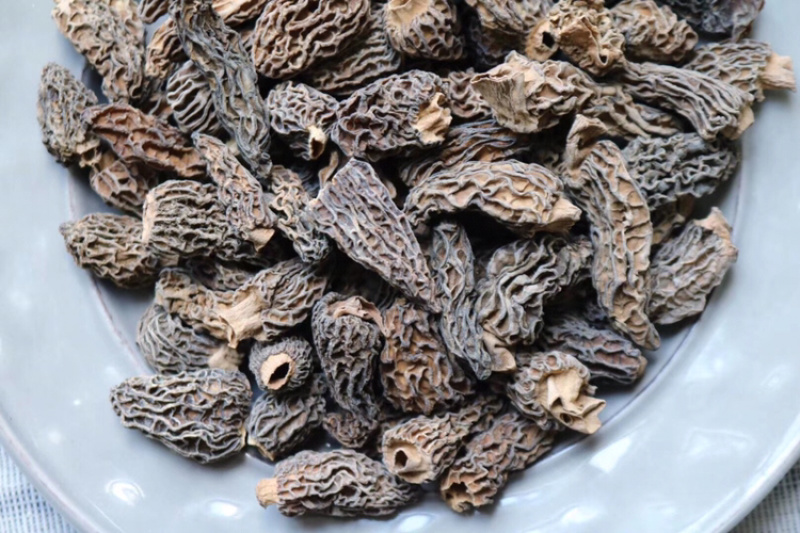 野生羊肚菌食用菌3-4cm批发代发送礼礼盒