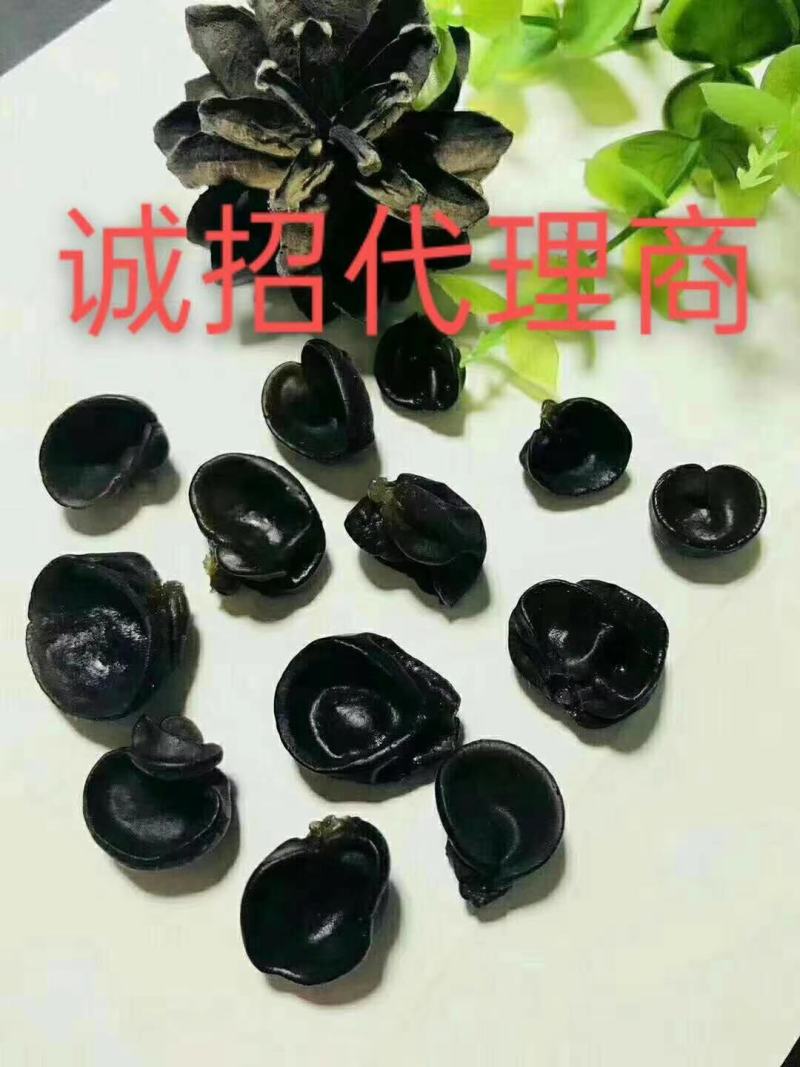 【优选】黑厚小碗耳无蒂无杂质泡发率高肉质敦厚口感爽滑
