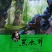 【优选】黑厚小碗耳无蒂无杂质泡发率高肉质敦厚口感爽滑