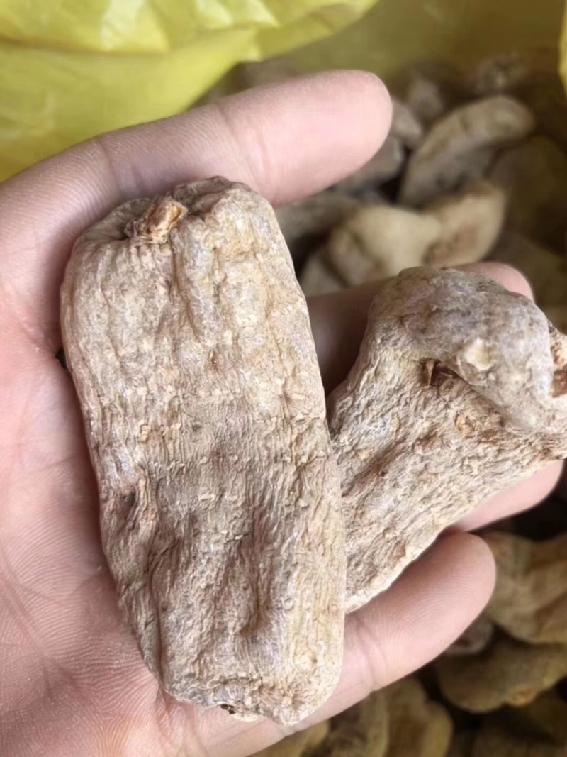 昭通天麻昭通小草坝天麻昭通小草坝天麻切片