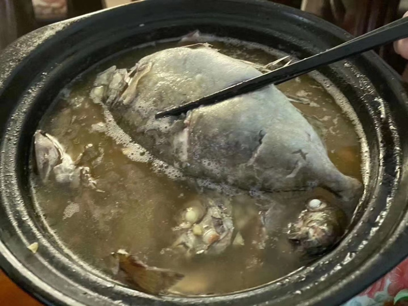 泥猛鱼新鲜肉质鲜美值得拥有