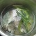 泥猛鱼新鲜肉质鲜美值得拥有