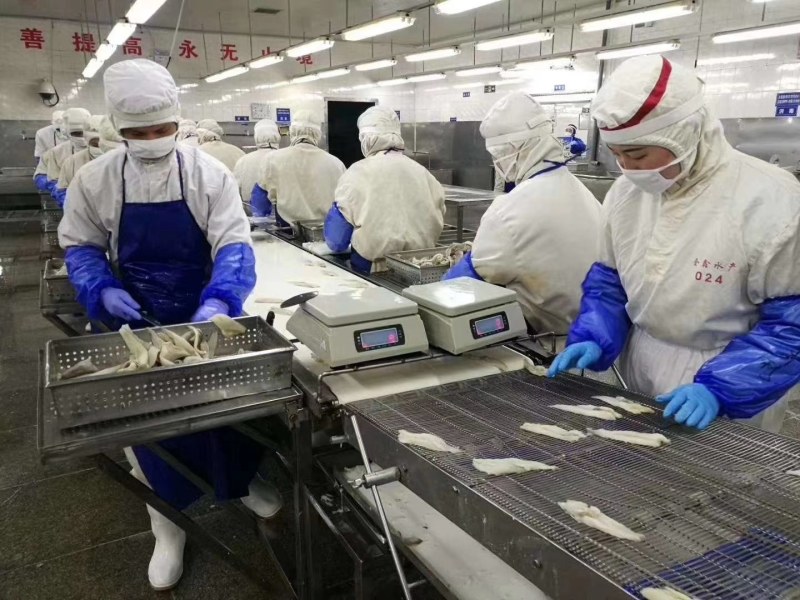 鳕鱼排深海鳕鱼排口感爽脆