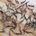 冬虫夏草精品小草批发点
