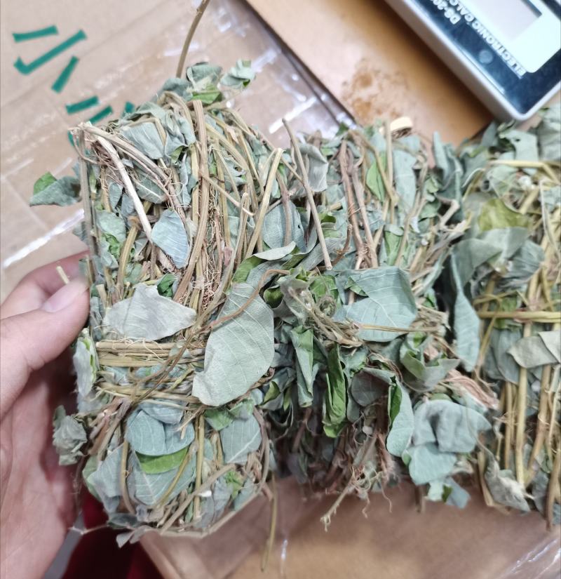 小扎金钱草干度好金钱草金钱草金钱草