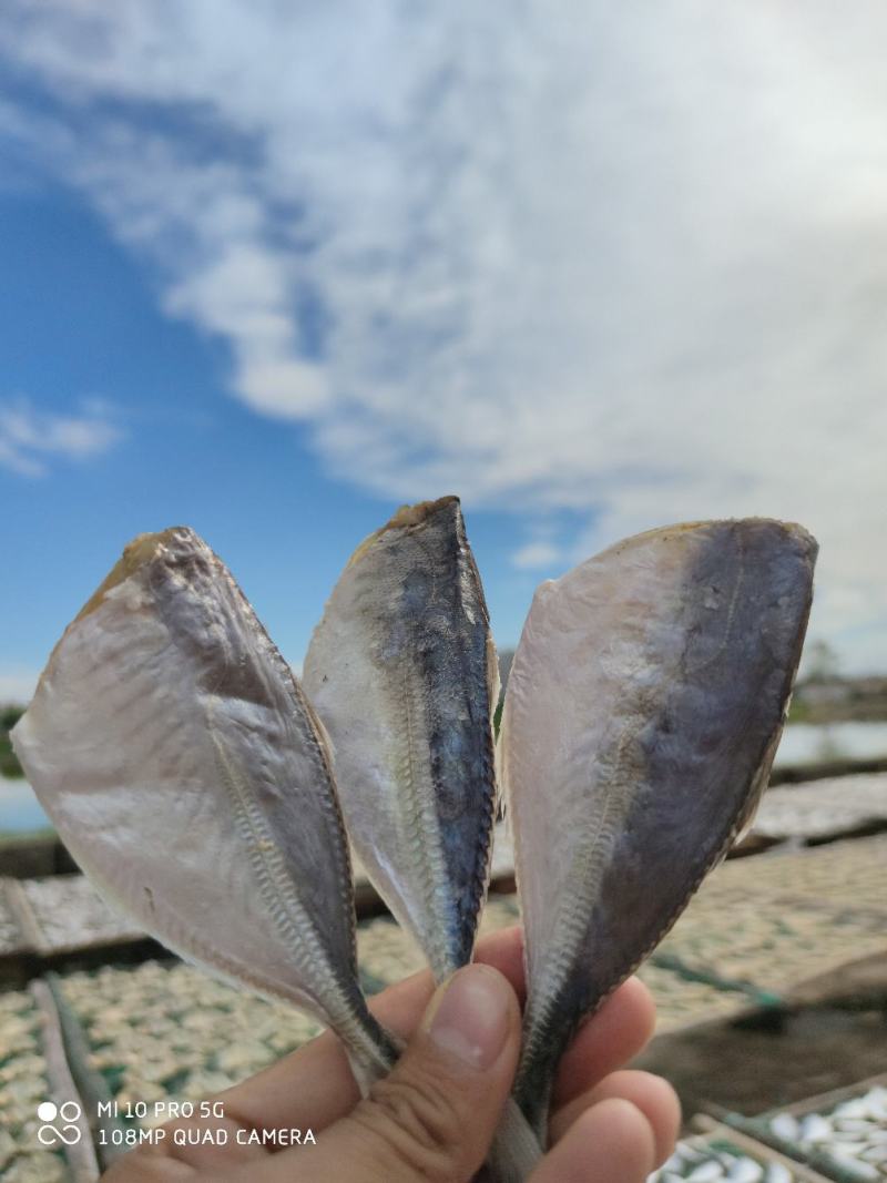 黄尾鱼干巴浪小鱼干咸鱼干货北海海鲜干货肉厚少刺巴浪鱼