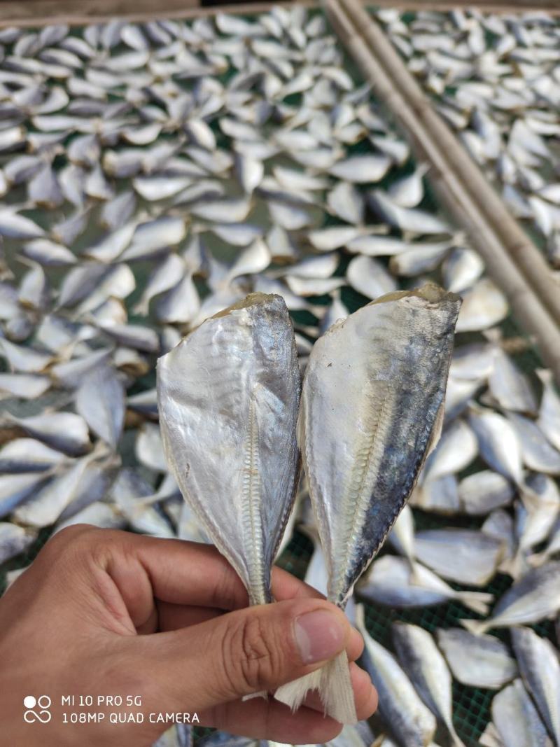 黄尾鱼干巴浪小鱼干咸鱼干货北海海鲜干货肉厚少刺巴浪鱼