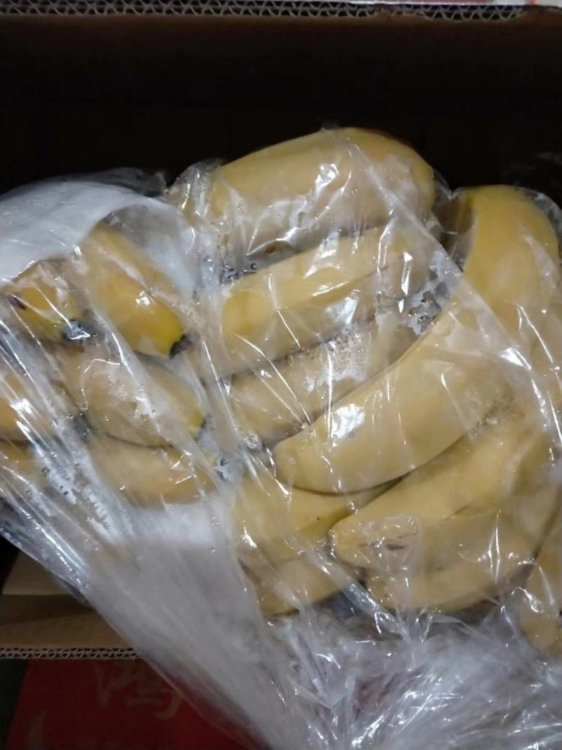 广西香蕉，云南香蕉总批发有限公司，邯郸办事处