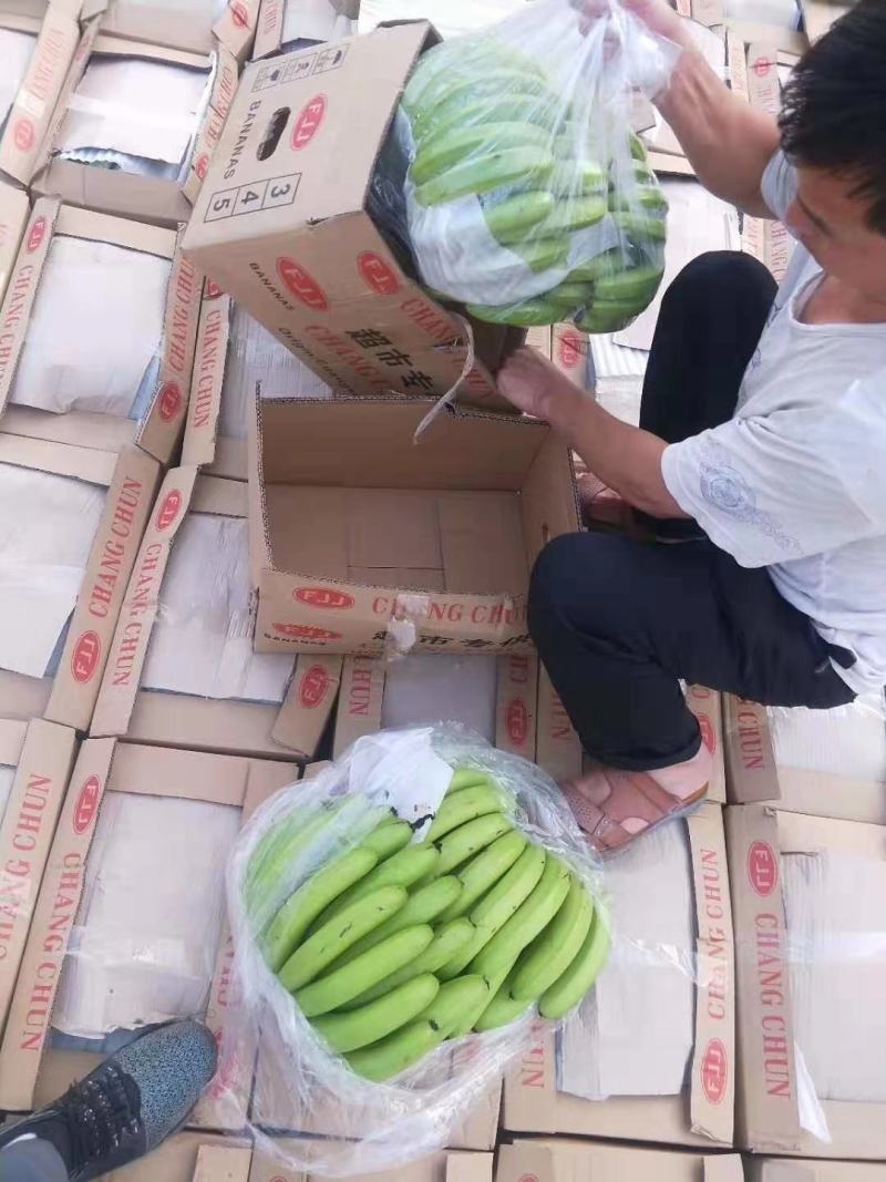 广西香蕉，云南香蕉总批发有限公司，邯郸办事处