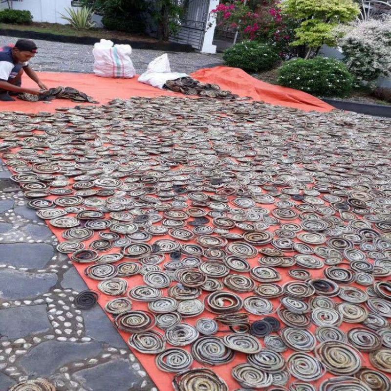 乌梢蛇选盘16正品乌梢蛇精道地药材，质优价实，品质保证