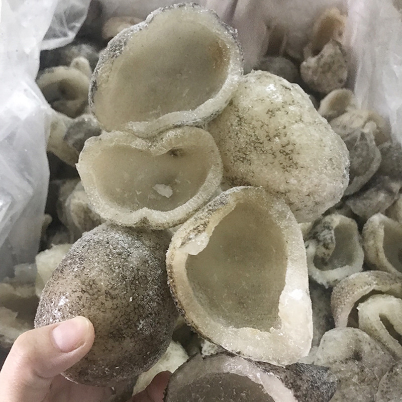 大连即食珍珠球参冻货包装即食海参500克酒店海参