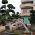 福建小叶榕基地龙形小叶榕桩景造型榕树桩漳州造型小叶榕直销