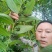 安徽九华山多花黄精种子