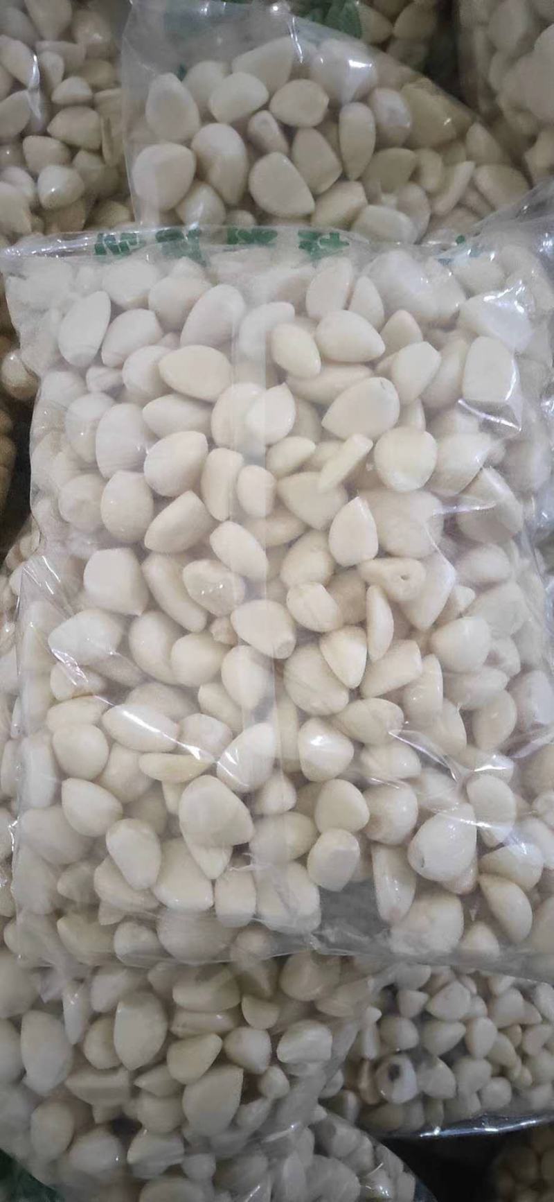 大量供应山东金乡产地蒜米，精品机器加工，常年供应长期合作