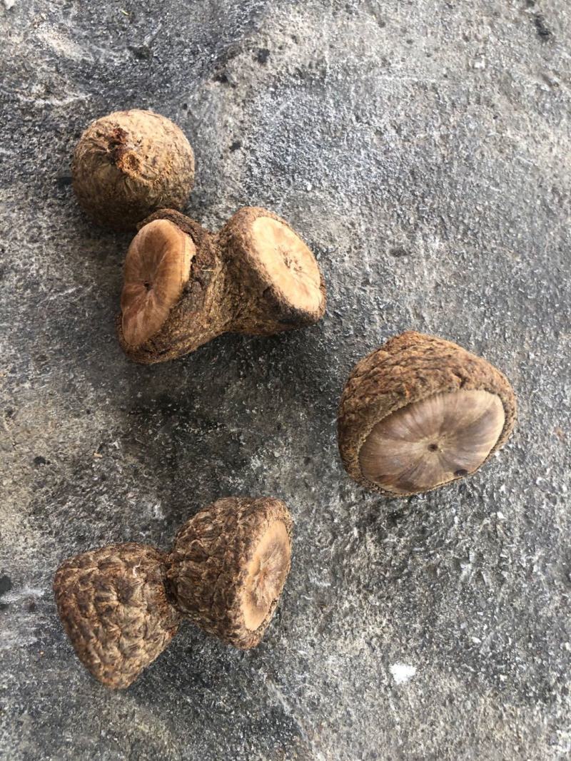 风流果越南进口正规手续