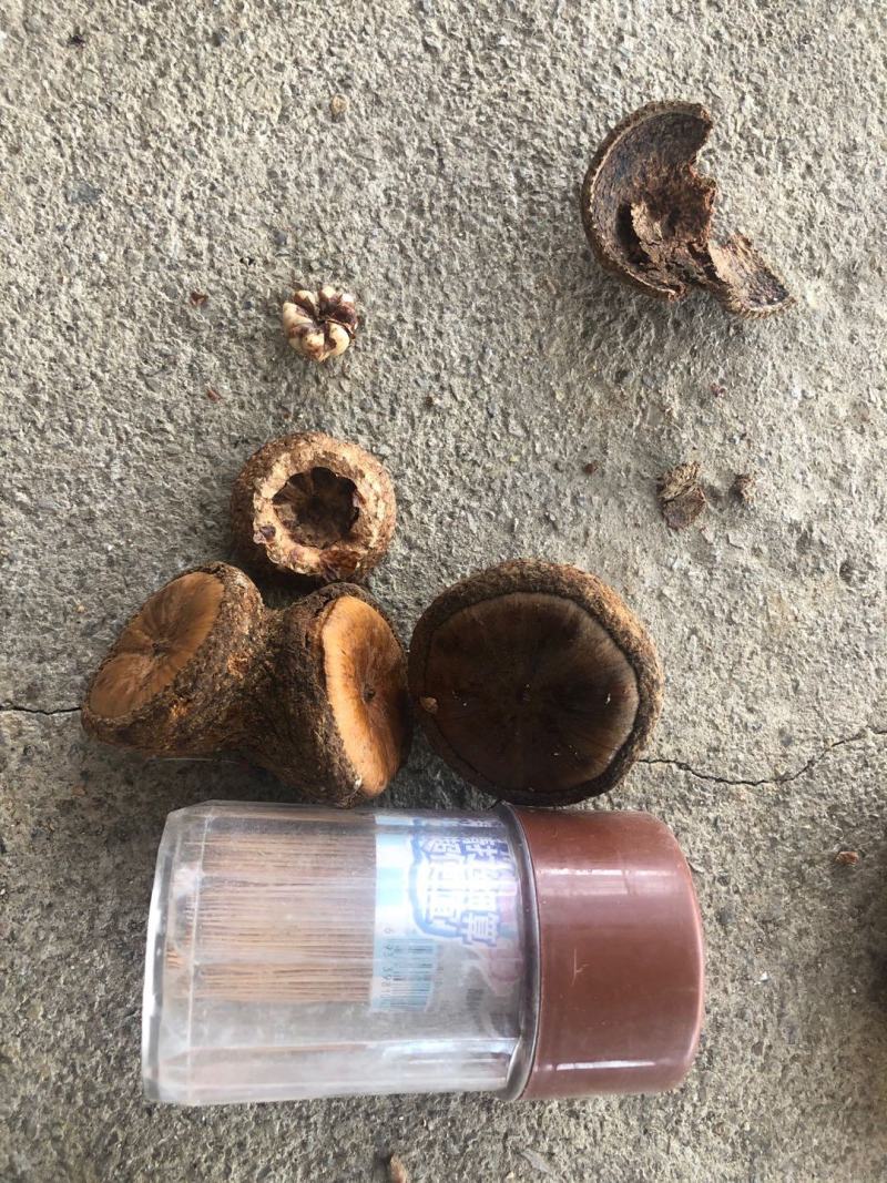 风流果越南进口正规手续