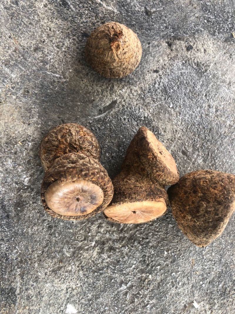 风流果越南进口正规手续