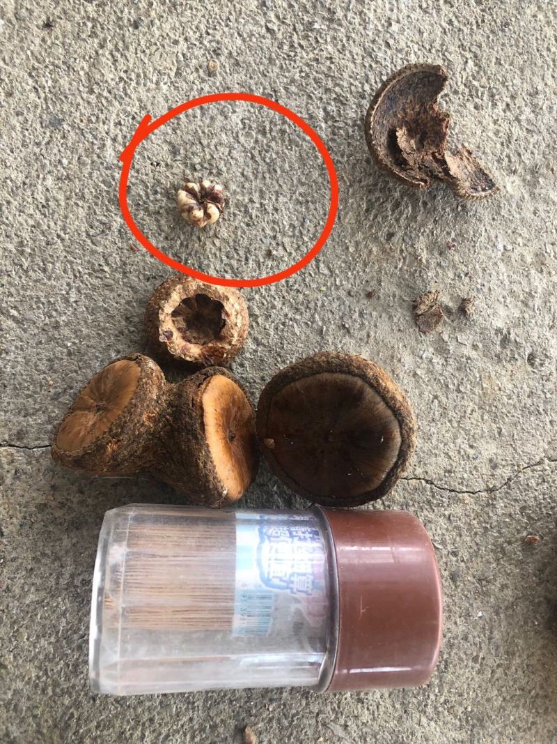 风流果越南进口正规手续