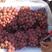 红提葡萄大量上市价格便宜质量好产地直发质量保证