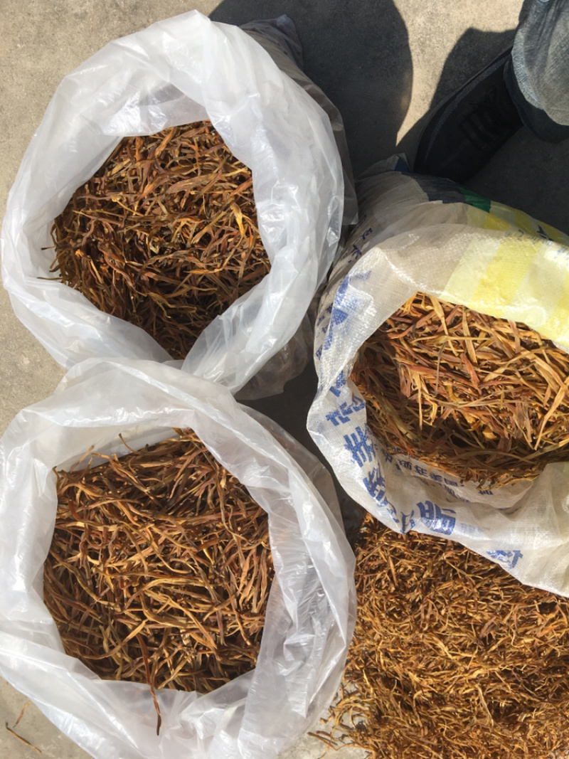 陕西地产黄花菜熟菜统货