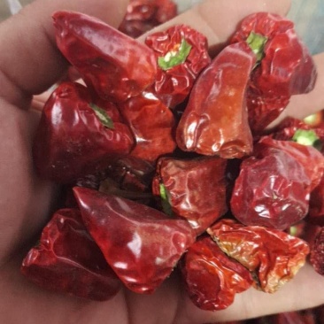 干度好，漂亮的草莓辣椒