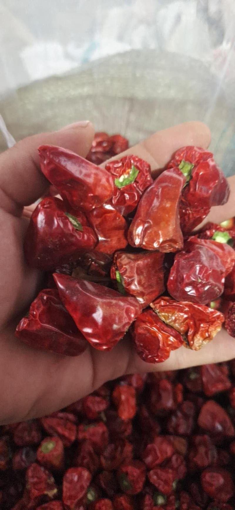 干度好，漂亮的草莓辣椒