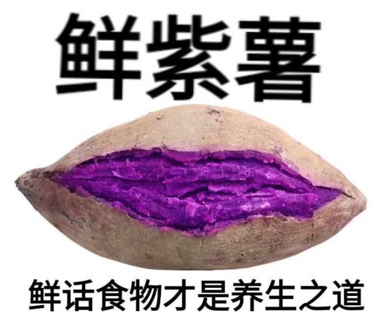 紫薯新鲜现挖现发紫薯软糯香甜紫薯花青素含量高紫薯包邮