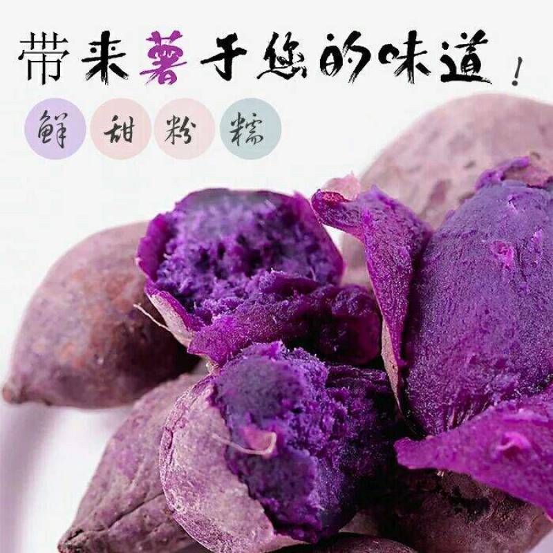 紫薯新鲜现挖现发紫薯软糯香甜紫薯花青素含量高紫薯包邮