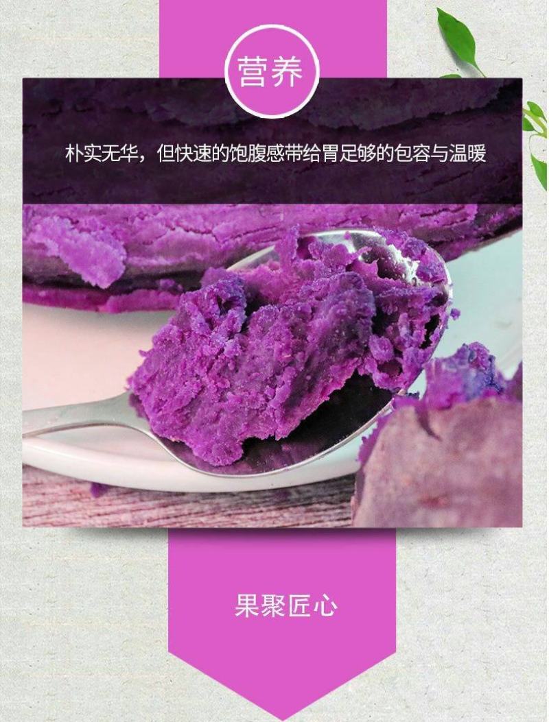 紫薯新鲜现挖现发紫薯软糯香甜紫薯花青素含量高紫薯包邮