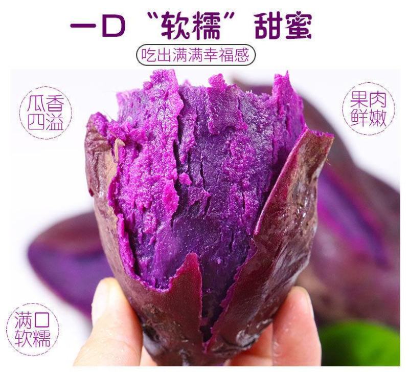 紫薯新鲜现挖现发紫薯软糯香甜紫薯花青素含量高紫薯包邮