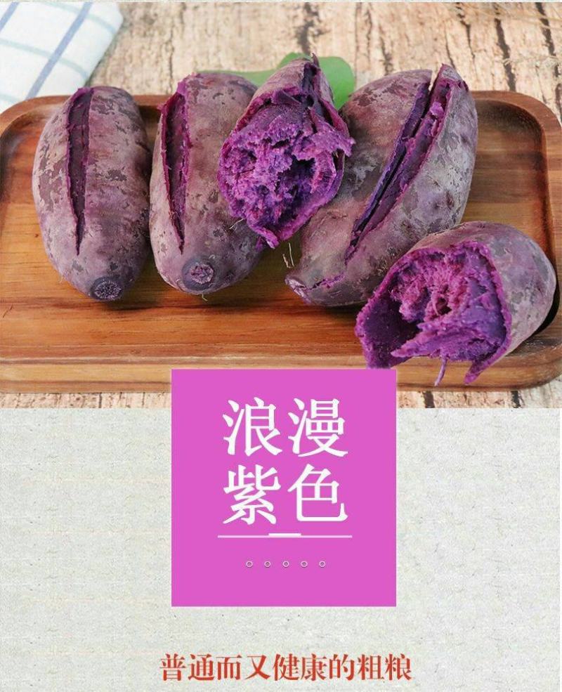 紫薯新鲜现挖现发紫薯软糯香甜紫薯花青素含量高紫薯包邮