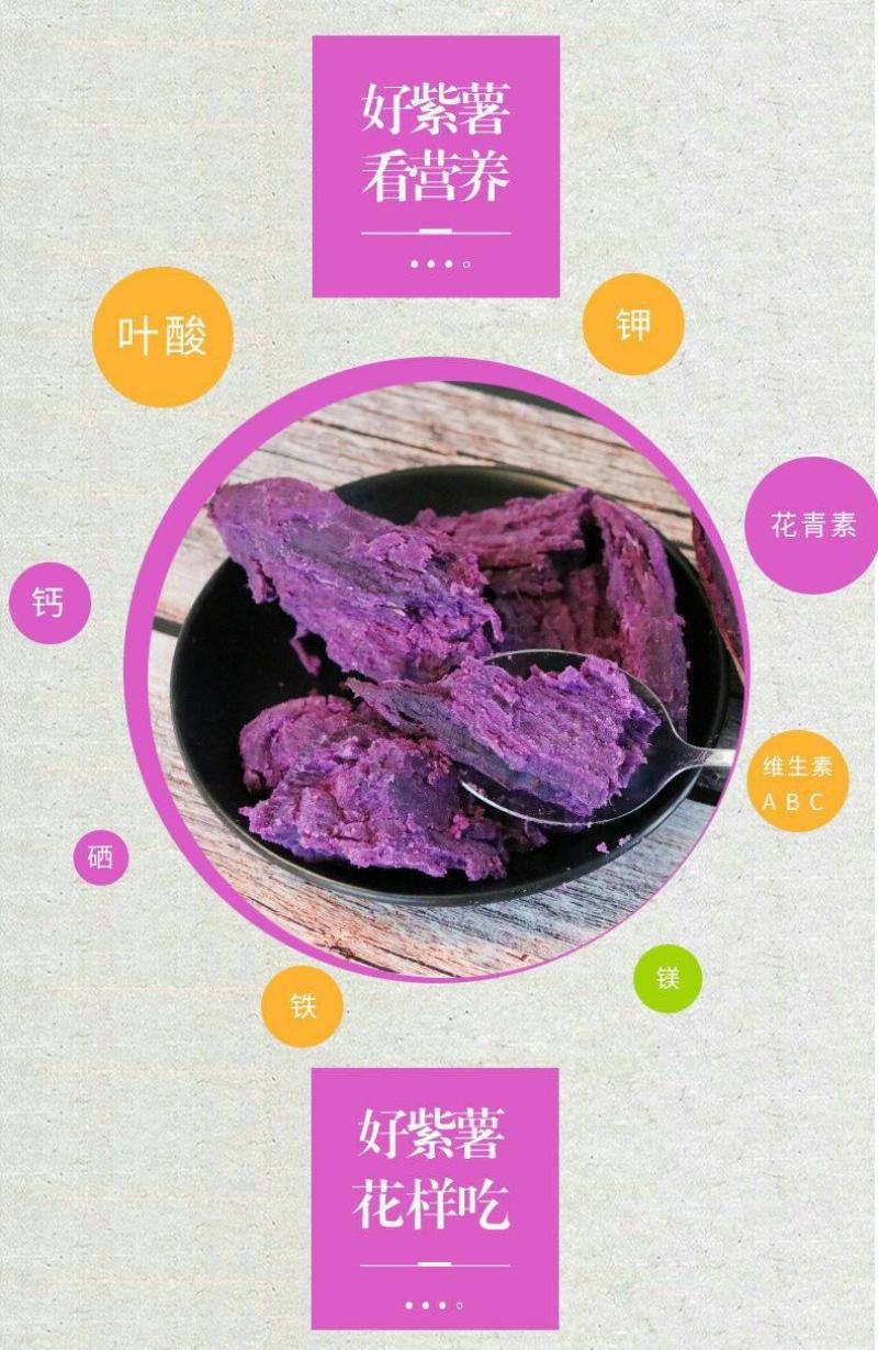 紫薯新鲜现挖现发紫薯软糯香甜紫薯花青素含量高紫薯包邮