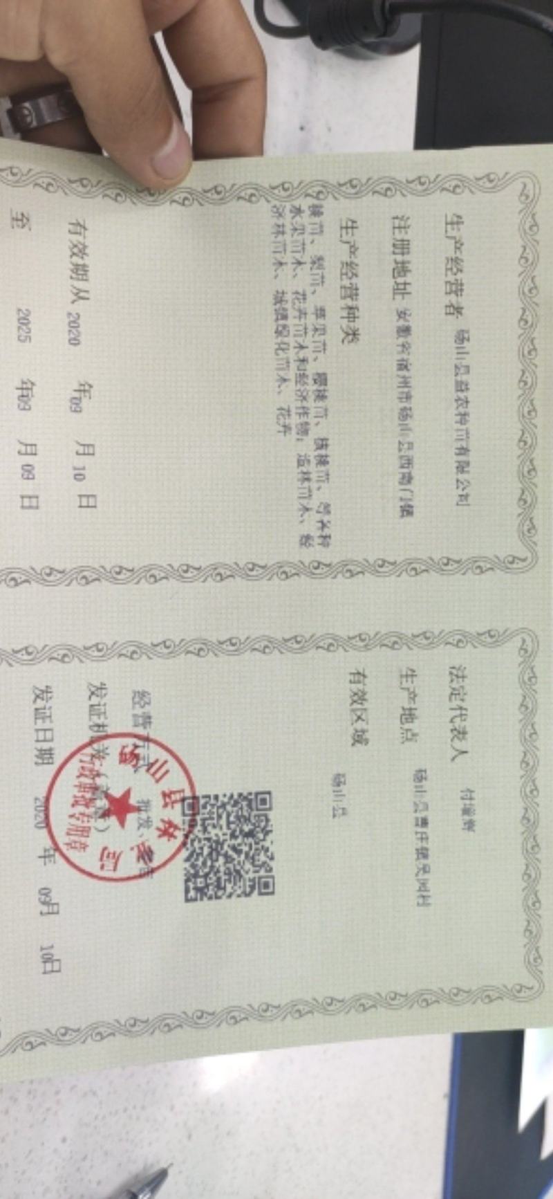 梨种子，杜梨种子山东河南新鲜梨种子，安徽梨种子