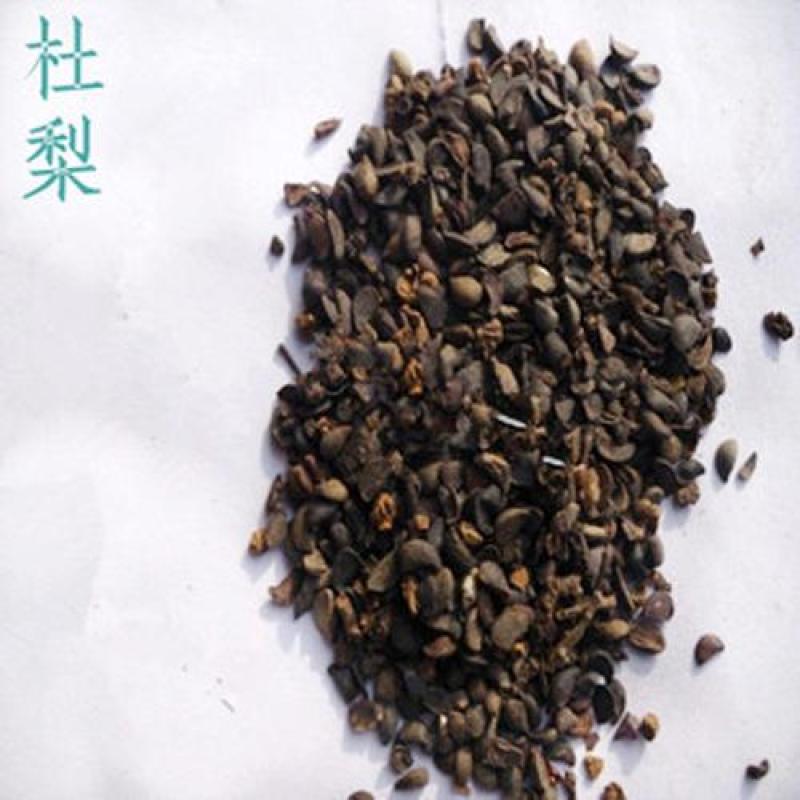 梨种子，杜梨种子山东河南新鲜梨种子，安徽梨种子