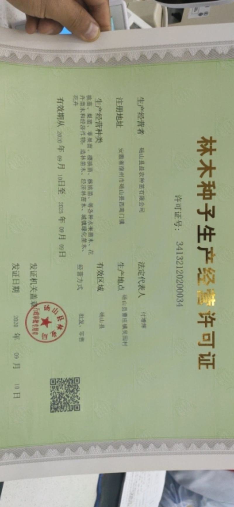 梨种子，杜梨种子山东河南新鲜梨种子，安徽梨种子