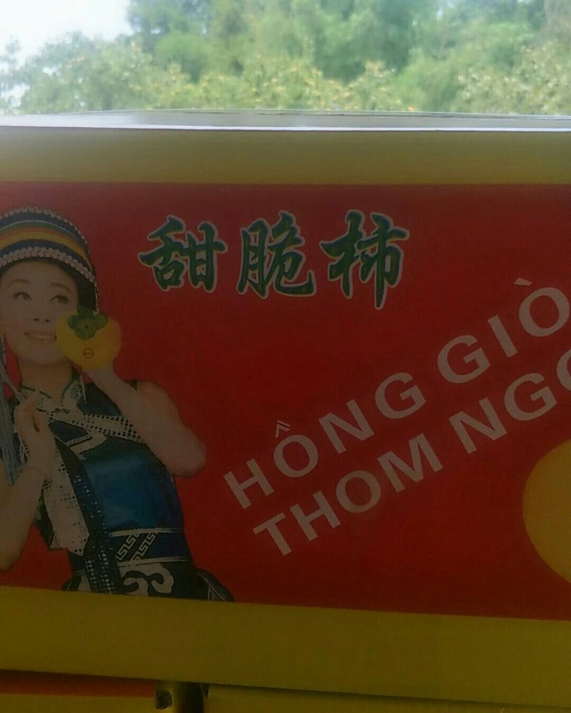 水果