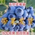 蓝莓树苗盆栽地栽特大蓝莓果树苗南方北方当年结果阳台庭院抗