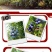蓝莓树苗盆栽地栽特大蓝莓果树苗南方北方当年结果阳台庭院抗