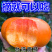 柿子苗柿子树嫁接无核甜脆柿果树苗庭院盆栽地栽当年结果基地