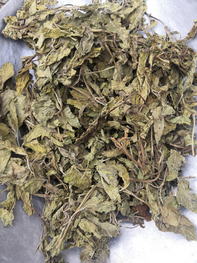 无硫薄荷原色薄荷叶薄荷油新货各种草药