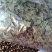 无硫薄荷原色薄荷叶薄荷油新货各种草药