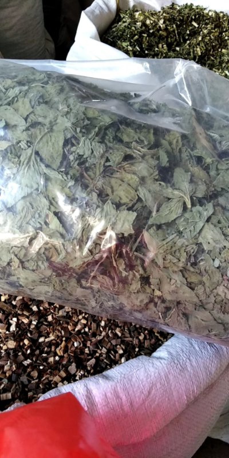 无硫薄荷原色薄荷叶薄荷油新货各种草药