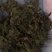 无硫薄荷原色薄荷叶薄荷油新货各种草药