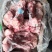后棒骨，国产多肉后腿骨，一件12根左右，国标产品