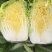 大白菜玲珑黄大白菜黄芯5-6斤代发全国