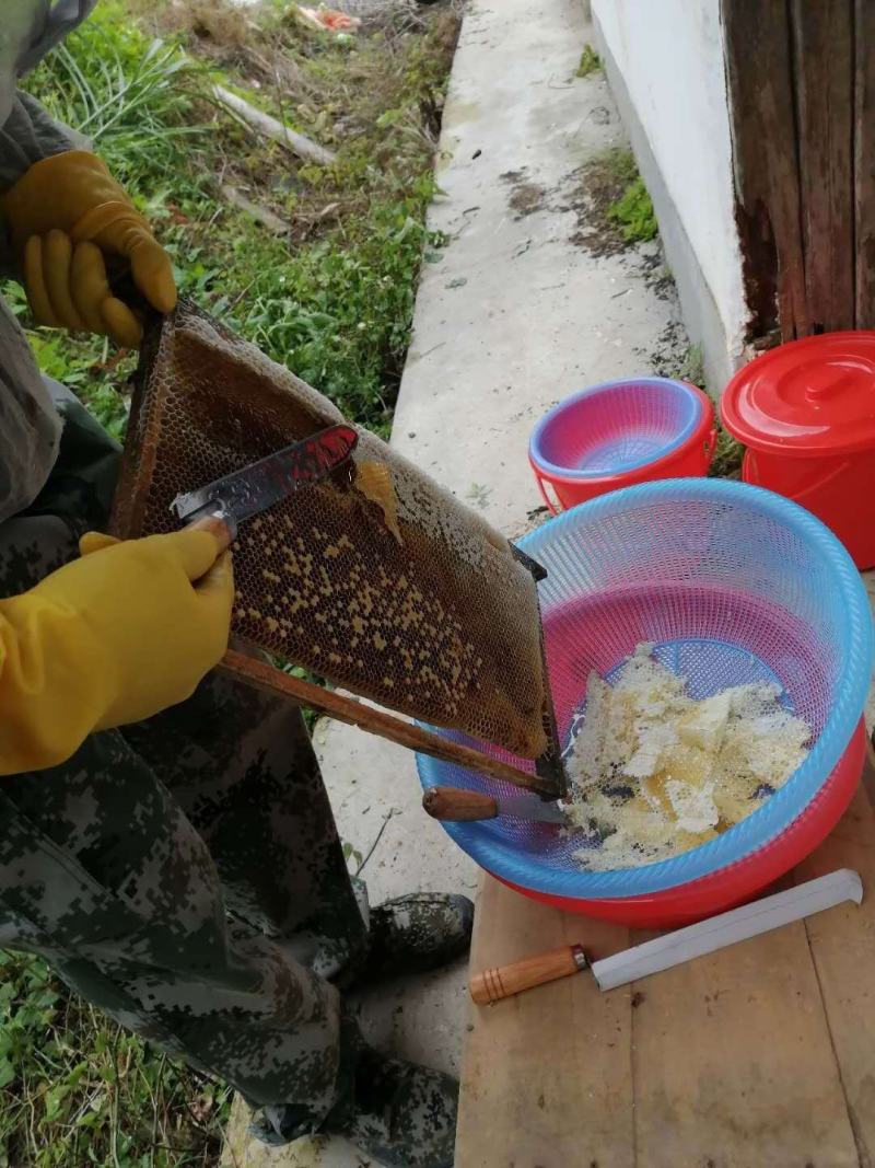深山老刘中华土蜂乌桕蜜