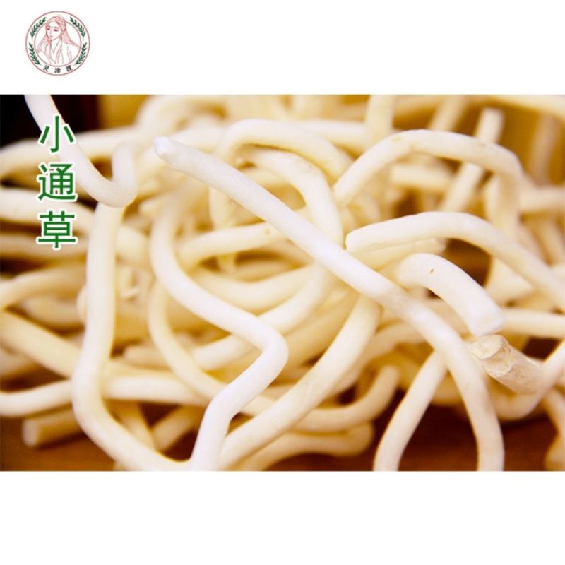 正品小通草大货供应