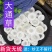 正品小通草中药材小通草包邮