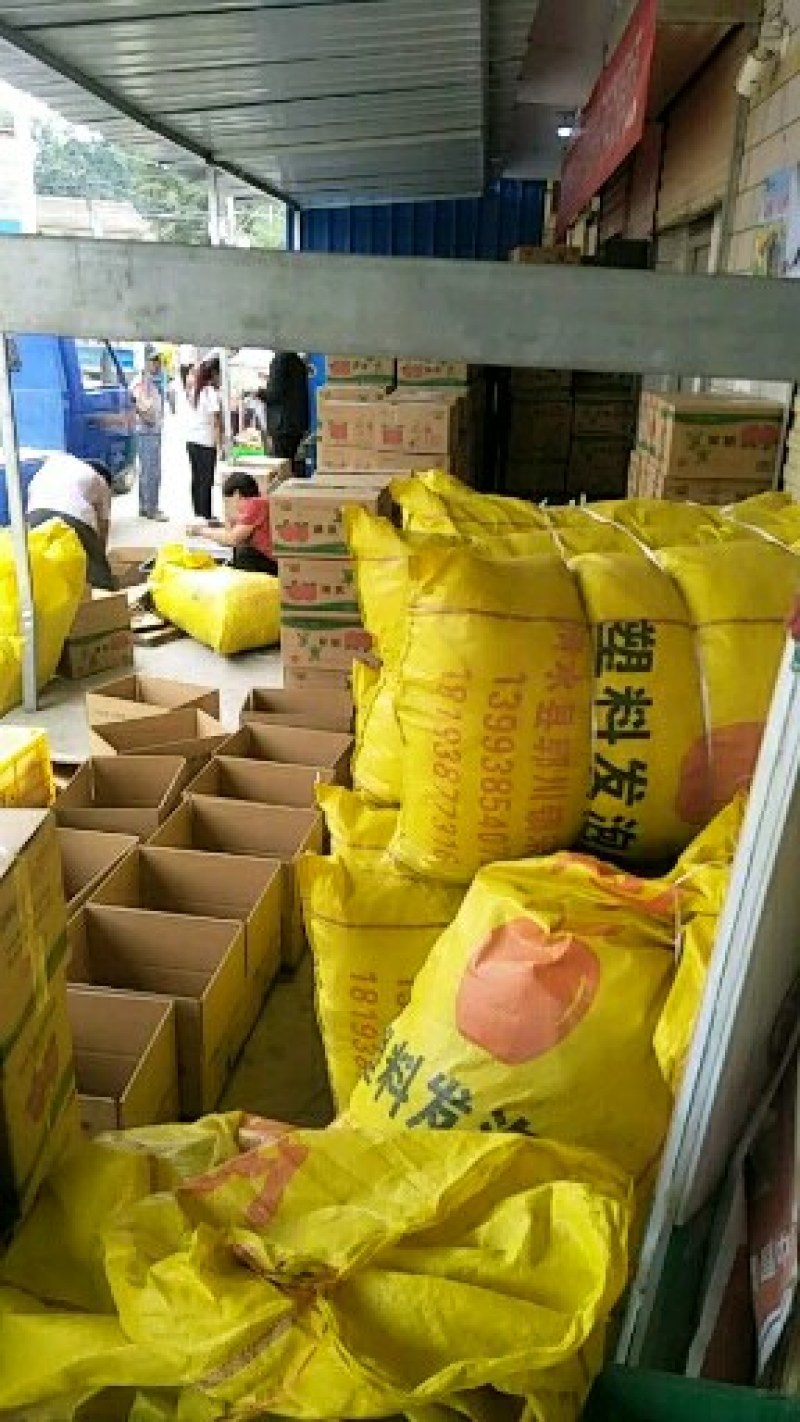 花牛苹果80mm起包邮产地直销，把新鲜速度到你舌尖