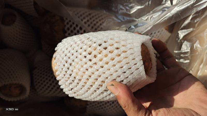 0.5料到2斤优质产品